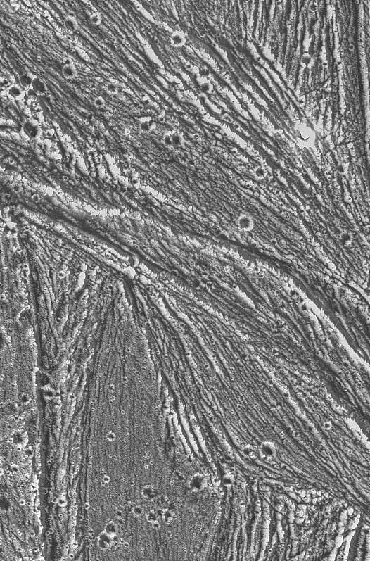 NASA image: Ganymede - Ridges, Grooves, Craters and Smooth Areas of Uruk Sulcus Region