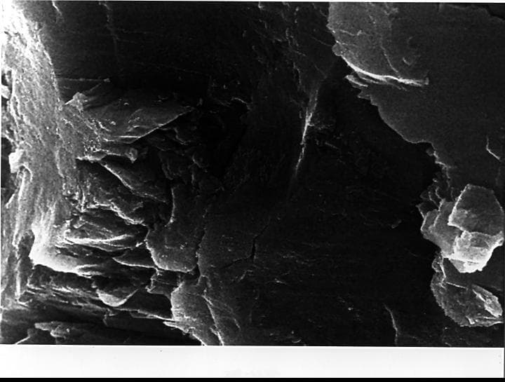 NASA image: Mars Life? - Microscopic Structures
