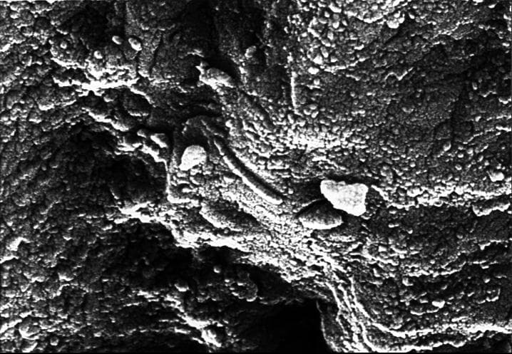 NASA image: Mars Life? - Microscopic Tube-like Structures