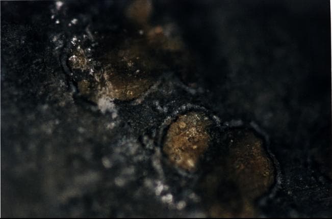 NASA image: Mars Life? - Orange-colored Carbonate Mineral Globules