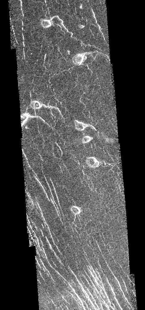 NASA image: Venus - Lavinia Region