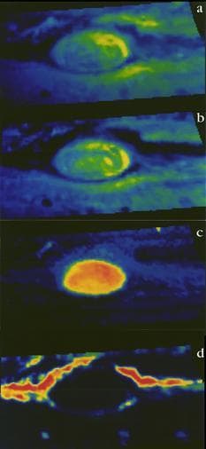 NASA image: NIMS Spectral Maps of Jupiter Great Red Spot