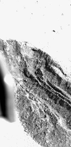 NASA image: VL1 Digs A Deep Hole On Mars