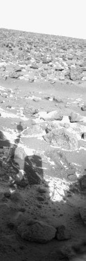 NASA image: Frost on Utopia Planitia