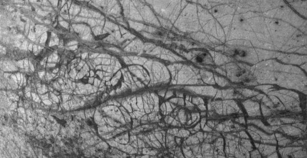 NASA image: Europa Ice Floes
