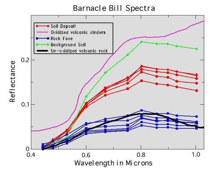 NASA image: Barnacle