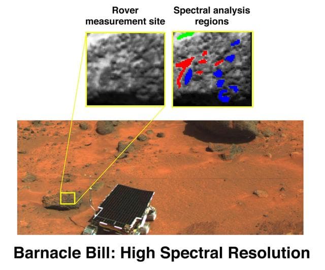 NASA image: High Spectral Resolution Image of Barnacle