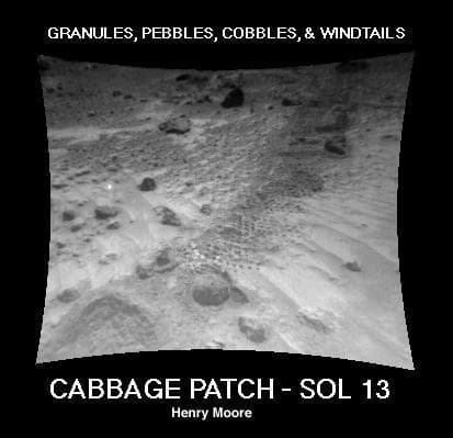 NASA image: Cabbage
