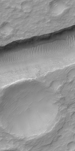 NASA image: Sirenum Fossae Trough