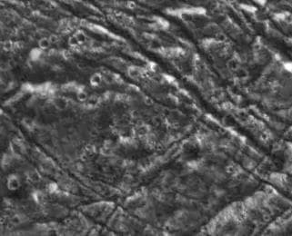 NASA image: Ganymede Groove Lanes