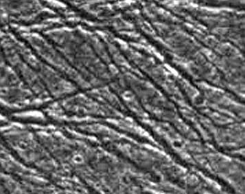 NASA image: Fractures in Transitional Terrain on Ganymede