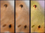 NASA image: Lack of Visible Change Around Active Hotspots on Io