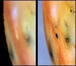NASA image: Changes east of Pele between Galileo First Two Orbits