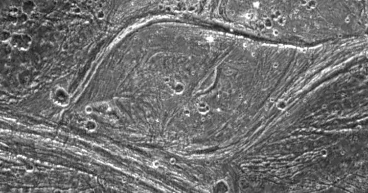 NASA image: Complex Tectonism on Ganymede