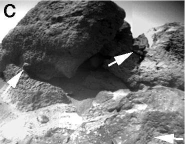 NASA image: Sojourner Rover View of Shark and Half