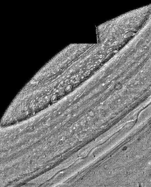 NASA image: Photographic Mosaic of Saturn
