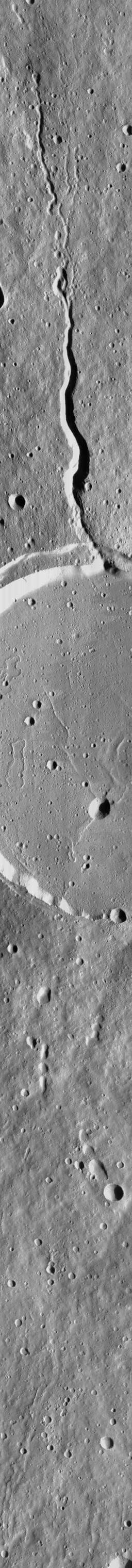 NASA image: Elysium Mons Volcano