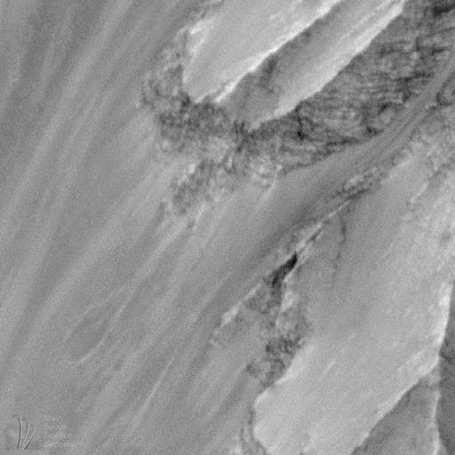 NASA image: Western Candor Chasma, Valles Marineris