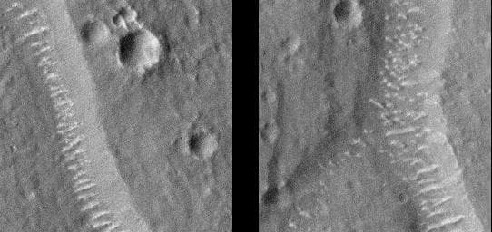 NASA image: Giant Polygon Troughs, Elysium Planitia at Full Resolution