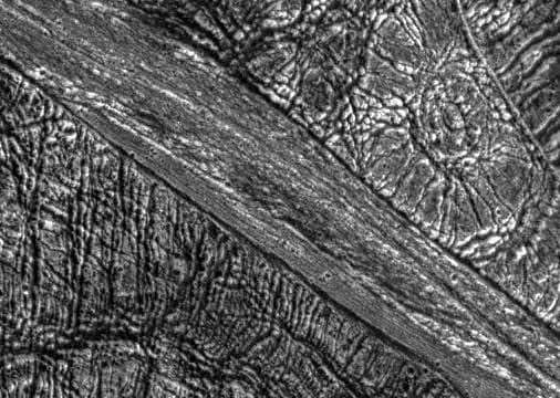 NASA image: Highly Fractured Dark and Bright Terrain