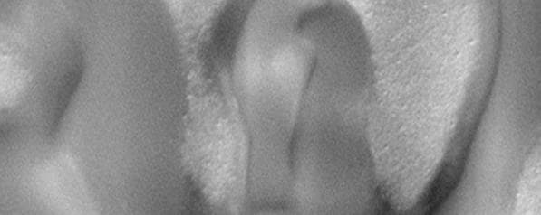 NASA image: North Polar Region Dunes Focus Test Image