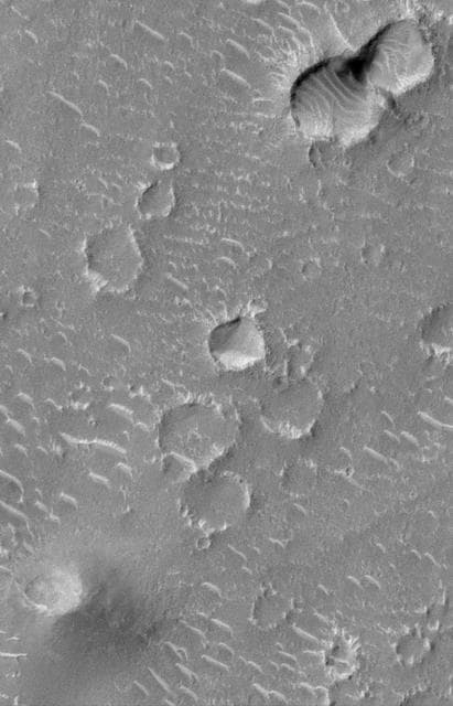 NASA image: Craters and Bright Dunes of Isidis Planitia