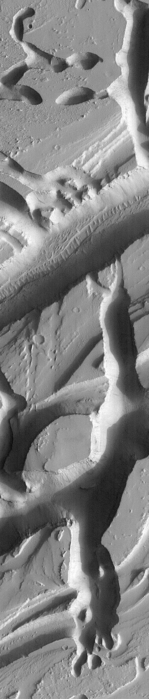 NASA image: Martian Variety Exhibited by the Olympica Fossae