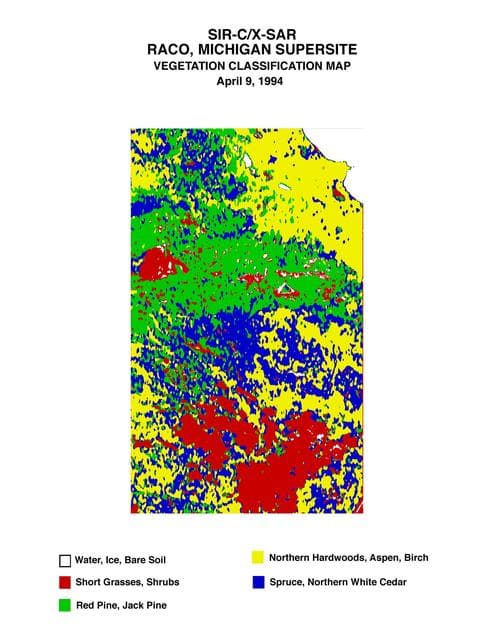 NASA image: Space Radar Image of Raco Vegetation Map