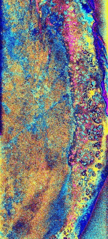 NASA image: Space Radar Image of the Yucatan Impact Crater Site