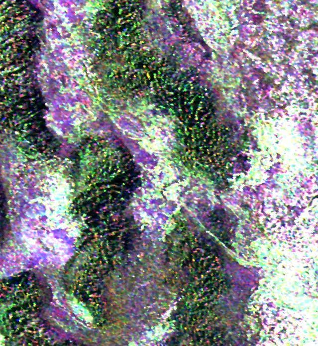 NASA image: Space Radar Image of Niya Ruins, Taklamakan Desert