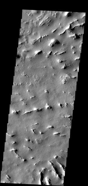 NASA image: Gigas Sulci