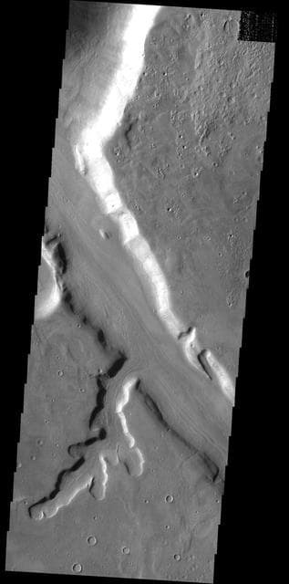 NASA image: Mamers Vallis