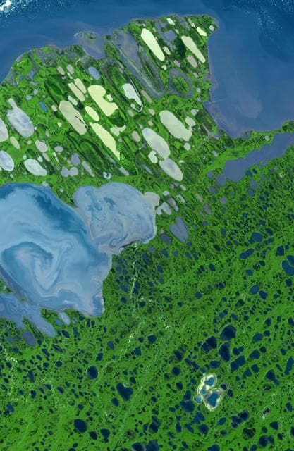 NASA image: Teshekpuk Lake, Alaska