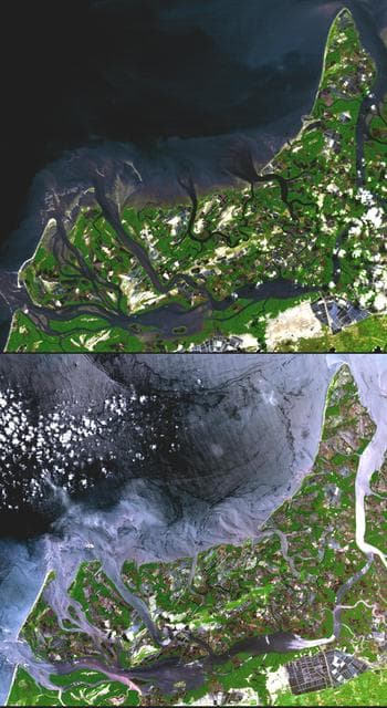 NASA image: Shrimp Farms, Ecuador