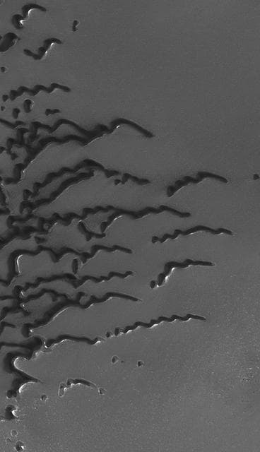 NASA image: Summertime View of North Polar Sand Dunes