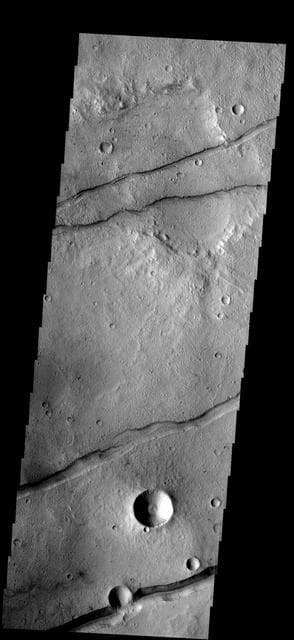 NASA image: Sirenum Fossae