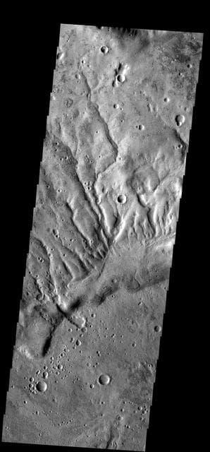 NASA image: Dissected Surface
