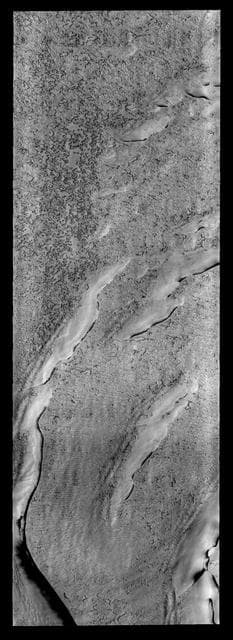 NASA image: Polar Texture