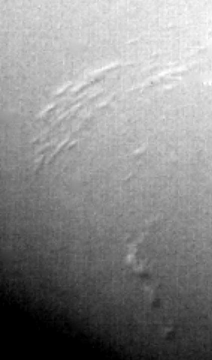 NASA image: Neptune South Polar Region