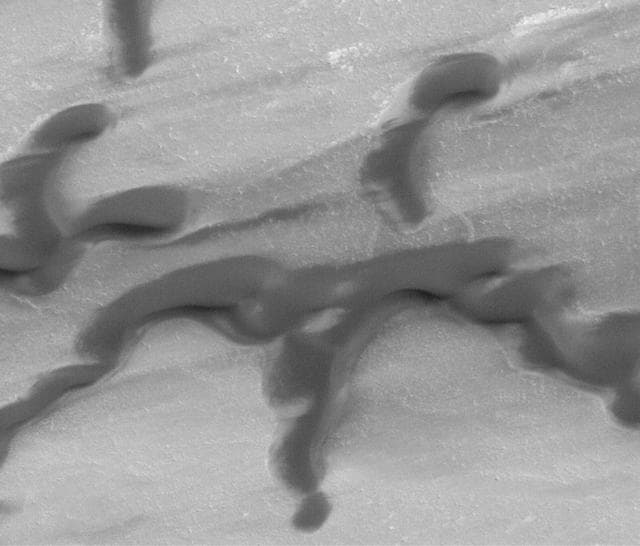 NASA image: Polar Dunes In Summer Exhibit Frost Patches, Wind Streaks