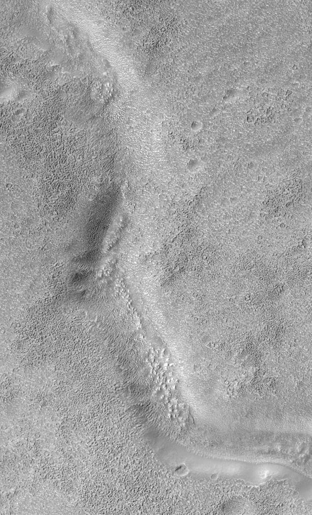 NASA image: Look Out Below! Rough Terrain In the Warrego Valles Region