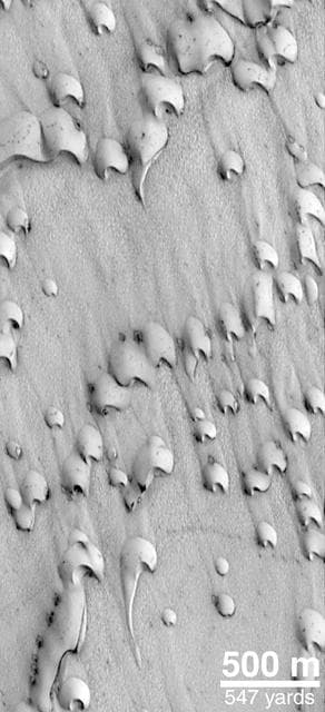 NASA image: Frost-covered Dunes