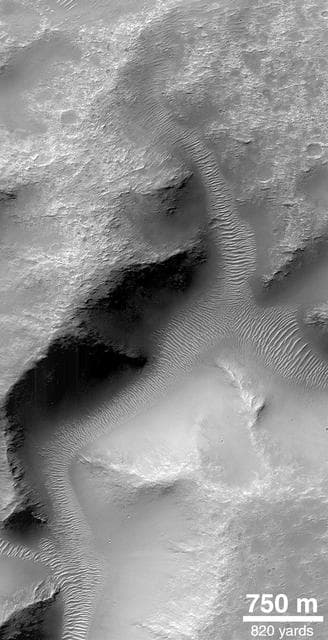 NASA image: Valley Networks