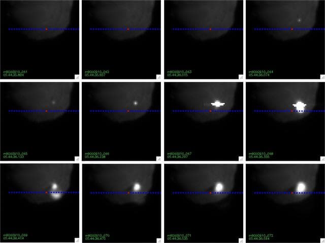 NASA image: Tempel 1 Mission Update