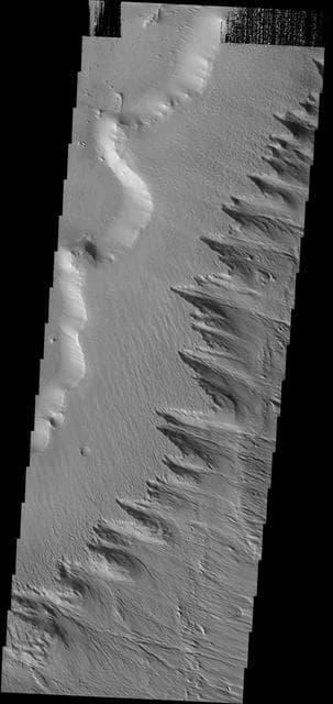 NASA image: Gordii Dorsum
