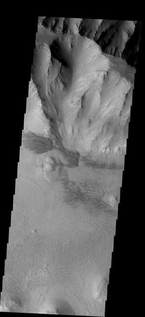 NASA image: Dune Variety