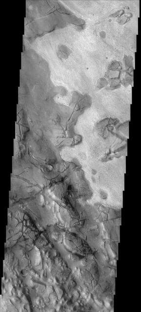 NASA image: Surface Variety
