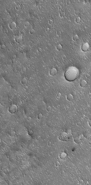 NASA image: Isidis Plains