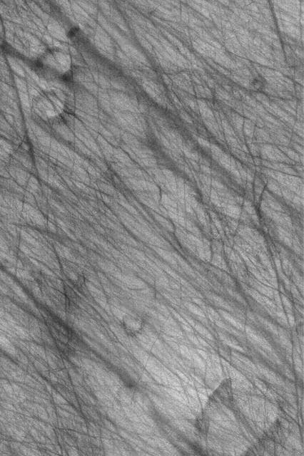 NASA image: Devil-Streaked Plain