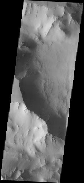 NASA image: Dust
